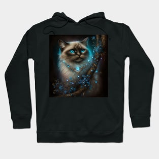 Radiant Ragdoll Cat Hoodie